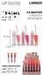 LUA NEVE LIP GLOSS-24PCS/4.10