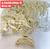 PIRANHA PLASTICO COM PEROLA-12PCS/2.33