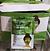 MAXLOVE MASCARA FACIAL SACHE-CHA VERDE-60PCS/0.66