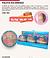 MIA MAKE PALETA DA ARRASO-12PCS/8.75
