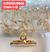 PIRANHA METAL COM ESTRAS-12PCS/4.50