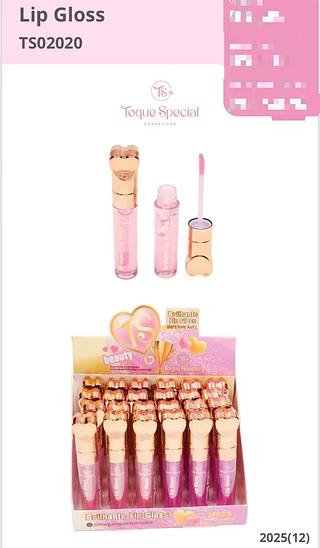 TOQUE SPECIAL LIP GLOSS-24PCS/4.00