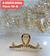 PIRANHA METAL COM ESTRAS-12PCS/4.50